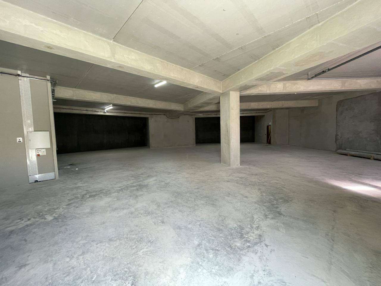 Local d'activité Sophia Antipolis 5452m² Location local d'activité Sophia Antipolis Alpes-Maritimes OLACT2204271 13